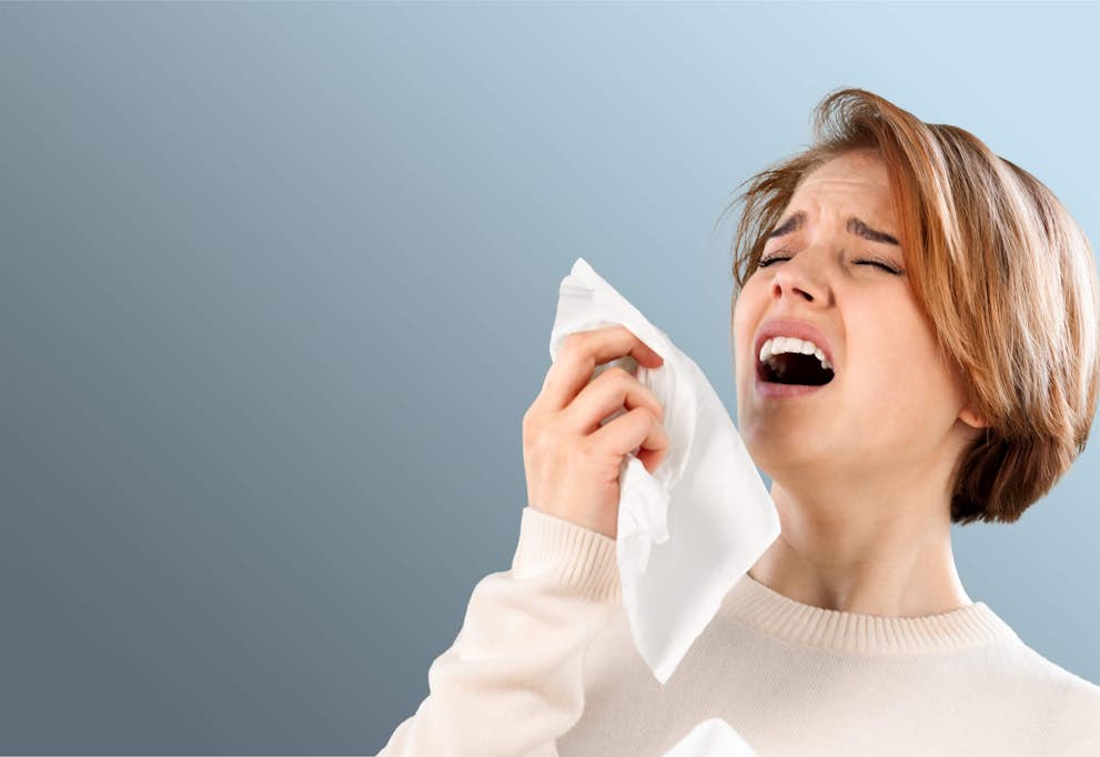 Cause of Hay Fever Allergies Found in The Last Place You’d Look about false
