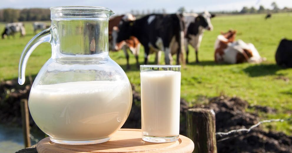 Old Wives Tale or Real Problem? Milk and Mucus Secretion about false
