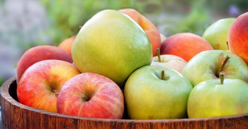 The Anti-Aging Benefits of Apples about false