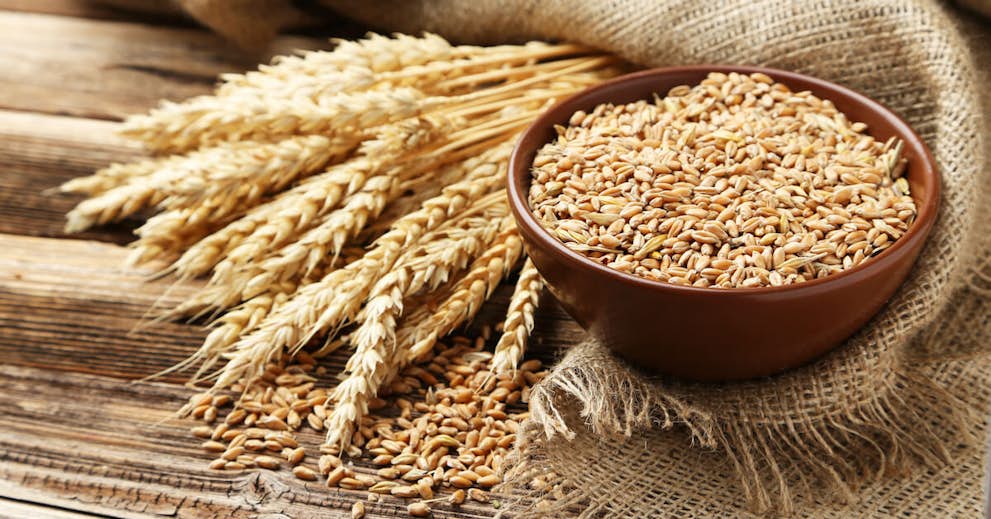 Is Wheat Ruining Your Health? about false