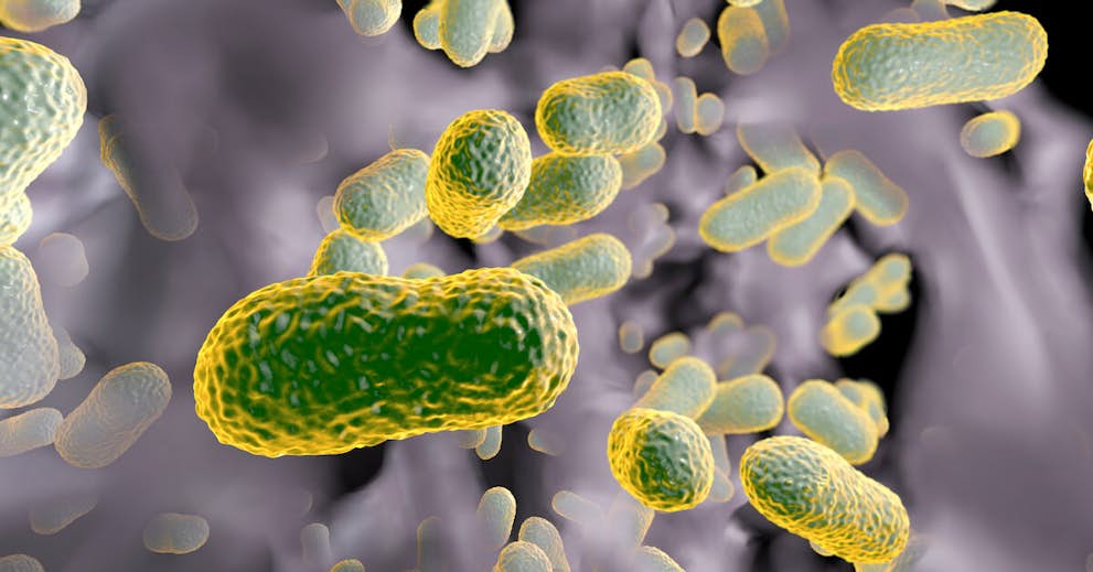 “Living Medicine” Cures Hospital-Acquired Infections about false