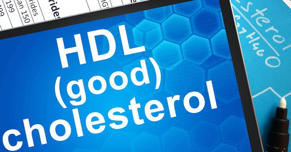 HDL Cholesterol: How This Heart Saving Fat Could Also Save Your Memory about false