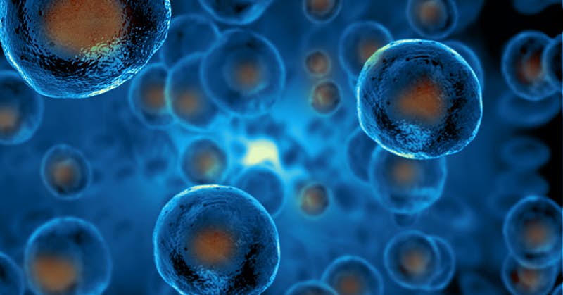 You Can Help Your Stem Cells Function Better for a Healthier Body about Stem Cell Restore